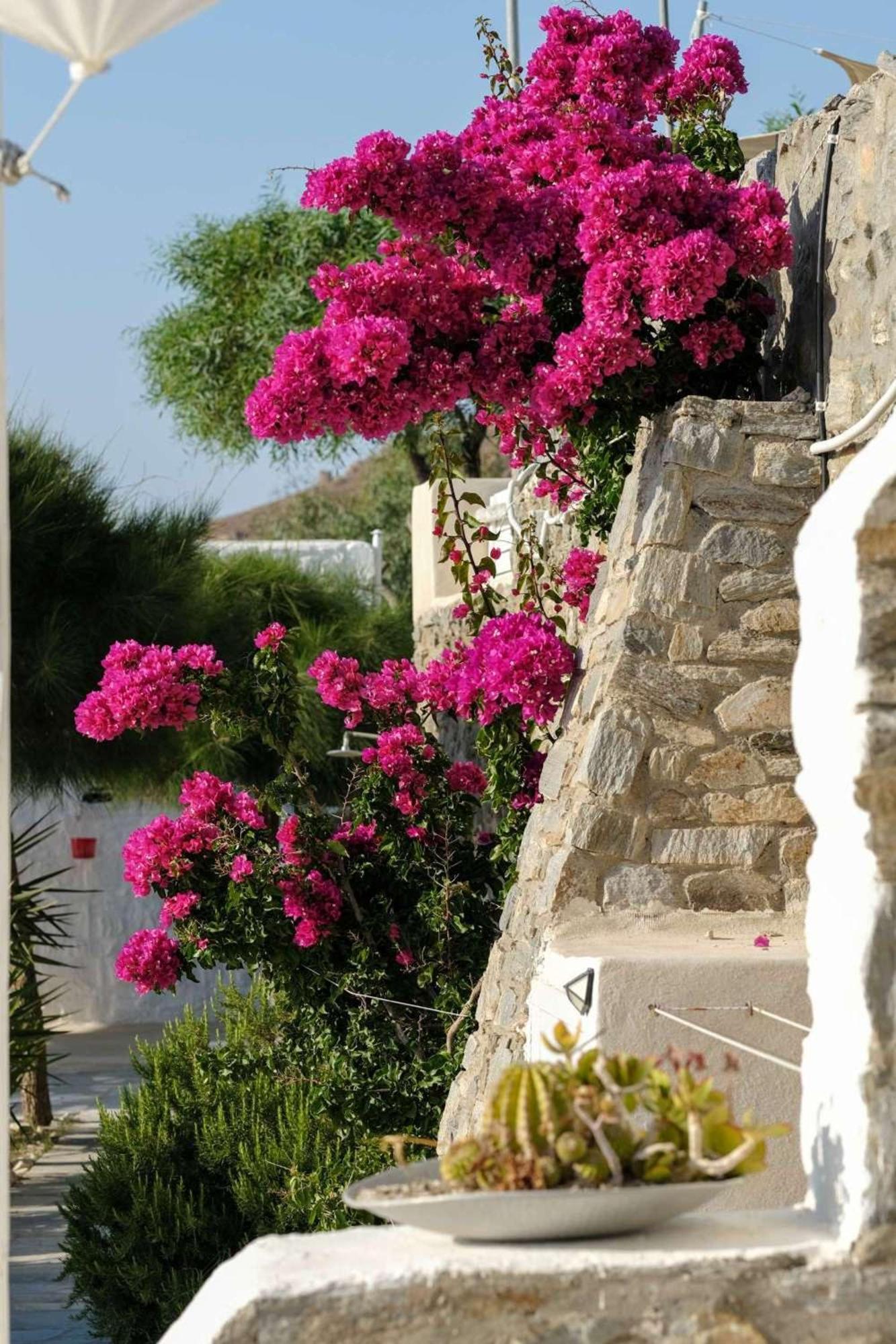3 Paros All Season Villas Extérieur photo
